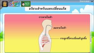 สื่อการเรียนการสอน ระบบหายใจป.6วิทยาศาสตร์