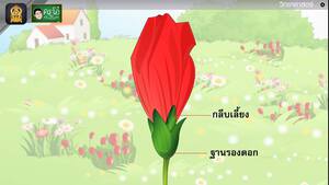 สื่อการเรียนการสอน หน้าที่และส่วนประกอบของดอก ป.5 วิทยาศาสตร์