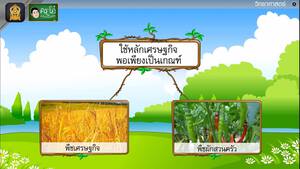 สื่อการเรียนการสอน พืชในท้องถิ่น ป.5 วิทยาศาสตร์